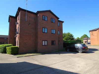 Picture 8